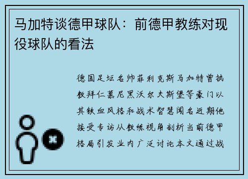 马加特谈德甲球队：前德甲教练对现役球队的看法